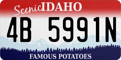 ID license plate 4B5991N
