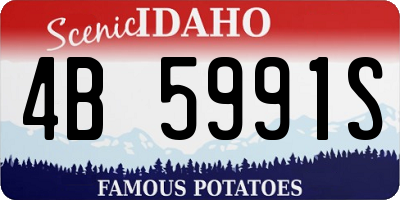 ID license plate 4B5991S