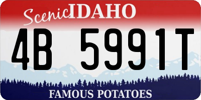 ID license plate 4B5991T