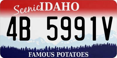 ID license plate 4B5991V