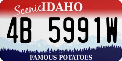 ID license plate 4B5991W