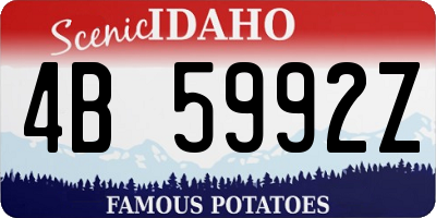 ID license plate 4B5992Z