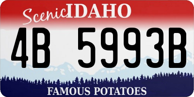 ID license plate 4B5993B