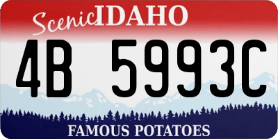 ID license plate 4B5993C