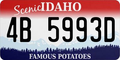 ID license plate 4B5993D