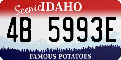 ID license plate 4B5993E