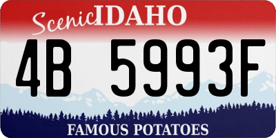 ID license plate 4B5993F