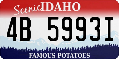 ID license plate 4B5993I