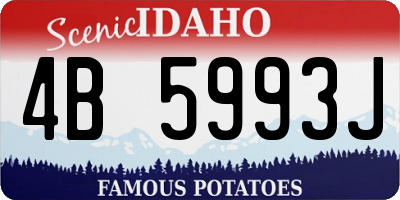 ID license plate 4B5993J