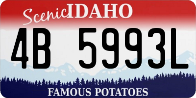 ID license plate 4B5993L