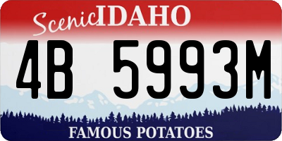 ID license plate 4B5993M