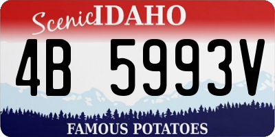 ID license plate 4B5993V