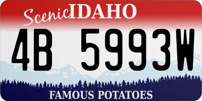 ID license plate 4B5993W