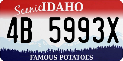 ID license plate 4B5993X