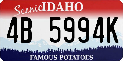 ID license plate 4B5994K
