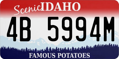 ID license plate 4B5994M