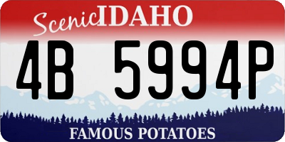 ID license plate 4B5994P