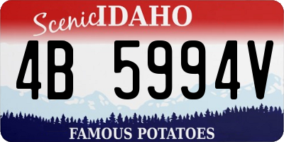 ID license plate 4B5994V