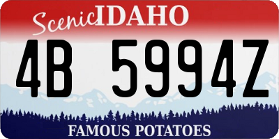 ID license plate 4B5994Z
