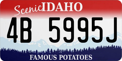 ID license plate 4B5995J