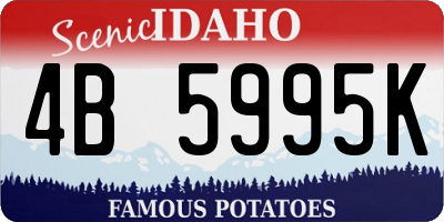 ID license plate 4B5995K