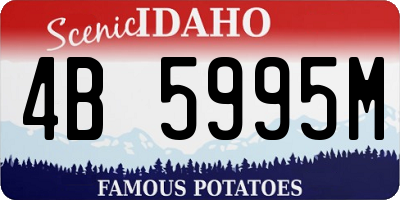 ID license plate 4B5995M