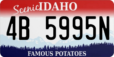 ID license plate 4B5995N