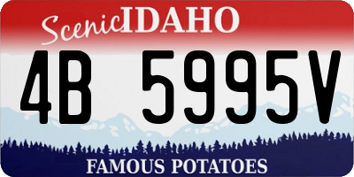 ID license plate 4B5995V
