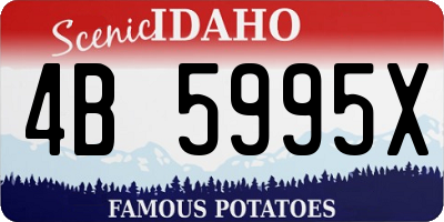 ID license plate 4B5995X