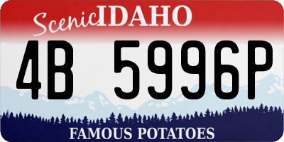 ID license plate 4B5996P