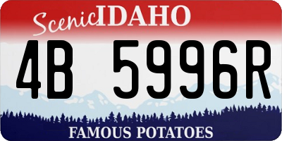 ID license plate 4B5996R