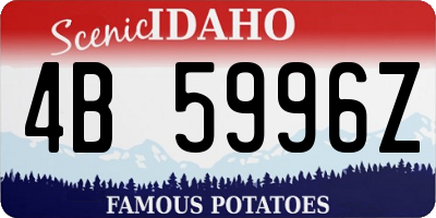 ID license plate 4B5996Z