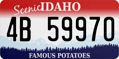 ID license plate 4B5997O