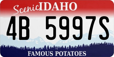 ID license plate 4B5997S