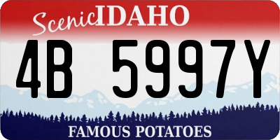 ID license plate 4B5997Y