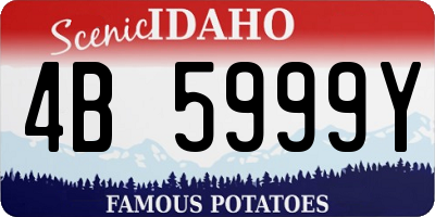 ID license plate 4B5999Y