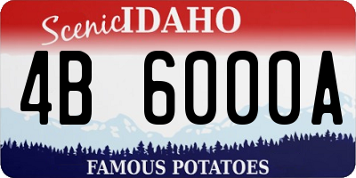 ID license plate 4B6000A