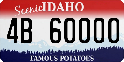 ID license plate 4B6000O