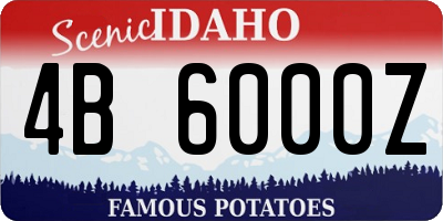 ID license plate 4B6000Z