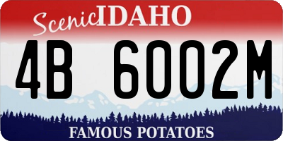 ID license plate 4B6002M