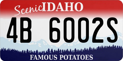 ID license plate 4B6002S