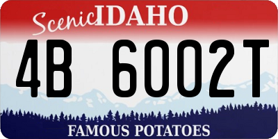 ID license plate 4B6002T