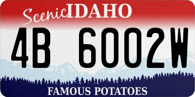 ID license plate 4B6002W