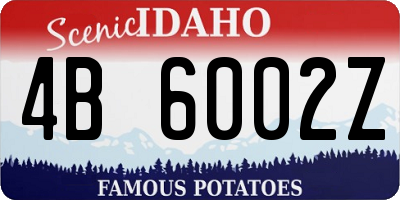 ID license plate 4B6002Z