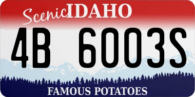 ID license plate 4B6003S