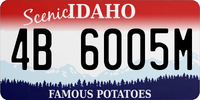ID license plate 4B6005M