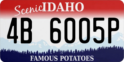 ID license plate 4B6005P