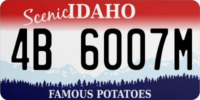 ID license plate 4B6007M