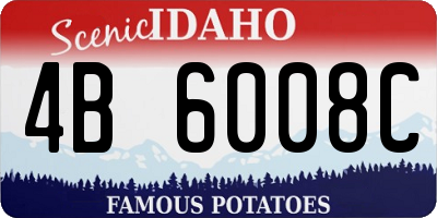 ID license plate 4B6008C