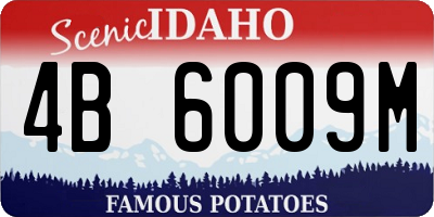 ID license plate 4B6009M